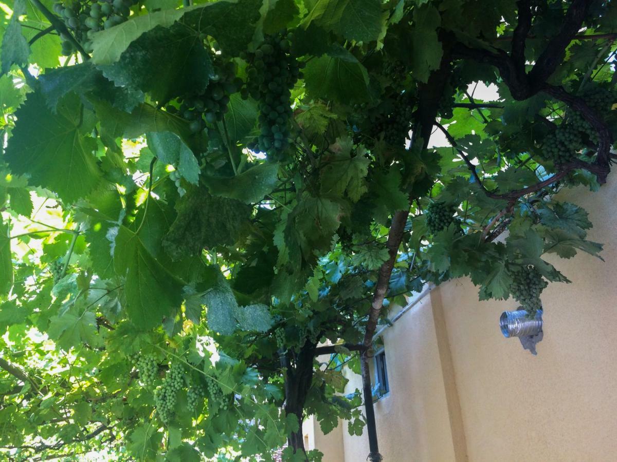 Mtsʼkhetʼa Guest House Gelit מראה חיצוני תמונה